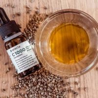 Factors to be considered while buying the CBD oil
