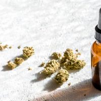 CBD Balsam – Buy The CBD From Online Store Safely!
