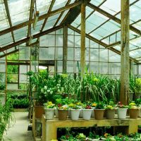 Are You looking For Best Greenhouse?