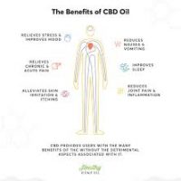 CBD Oil – What is it and how does it work?