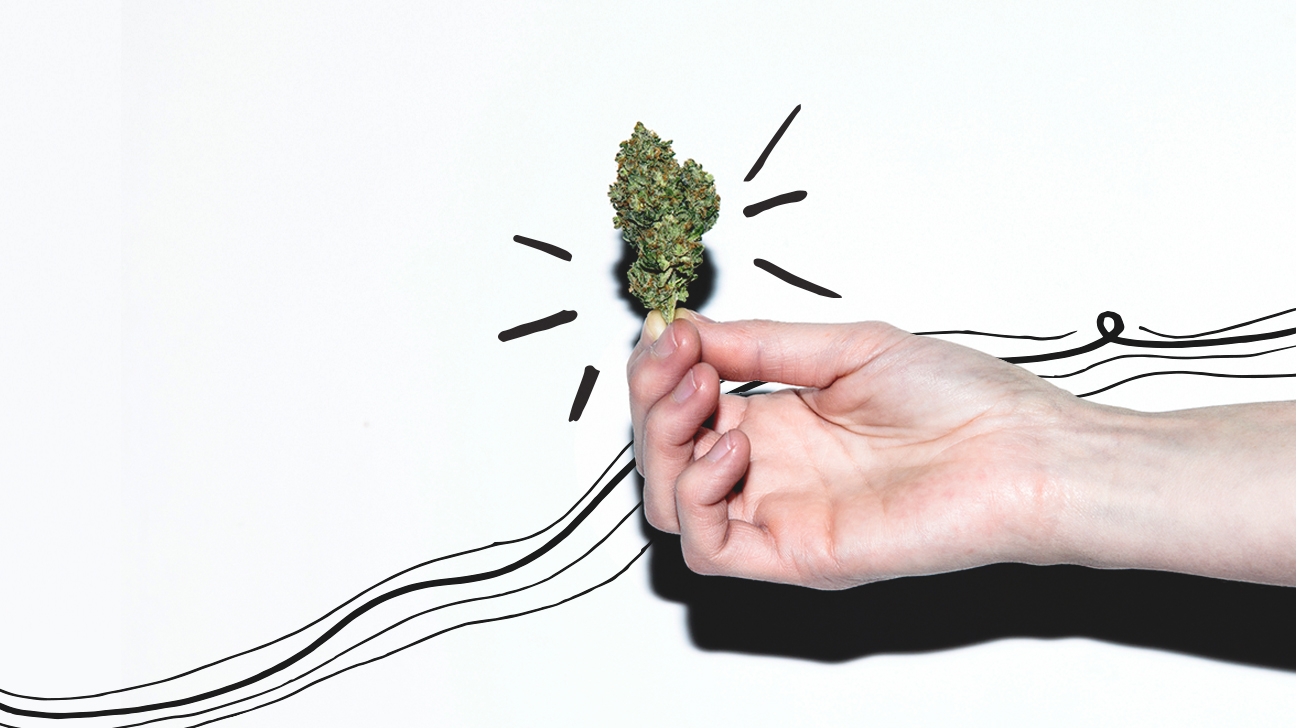 Choosing the right marijuana strain