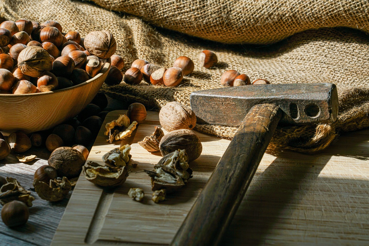 Nuts, hazelnuts, harvest — Common Complications from Spinal Injuries and How to Avoid Them