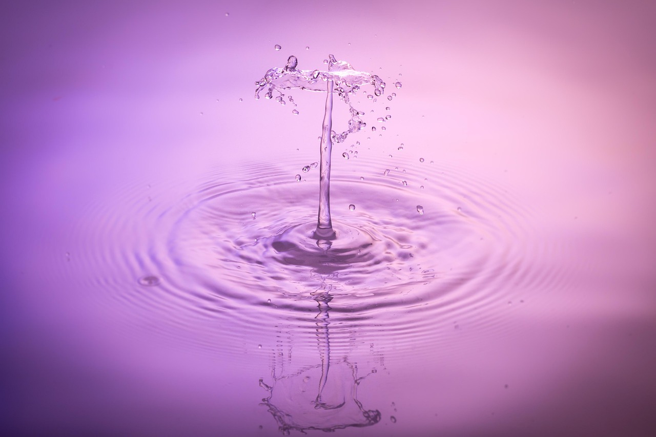 Drops, water, nature — Dispensaries near me offering licensed cannabis products and easy access for customers