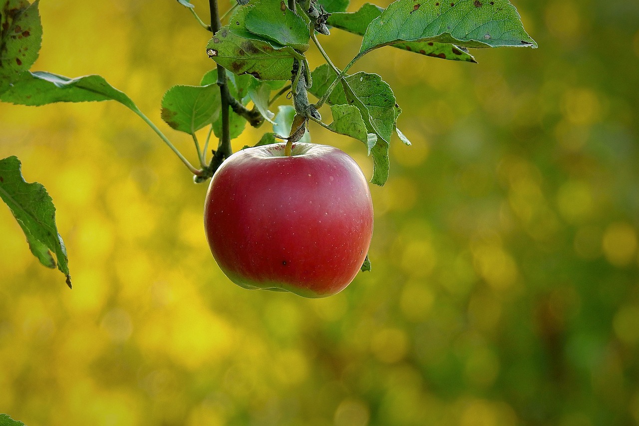 Embrace the power of Affirmations to inhabit a positive life