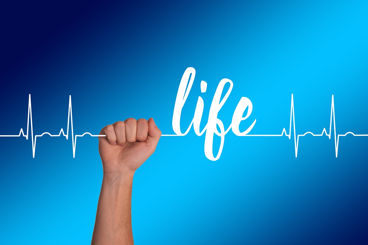 Heart, curve, life — Own the Best Electro Muscle Stimulation Personal Training Studio Boulder CO Provides