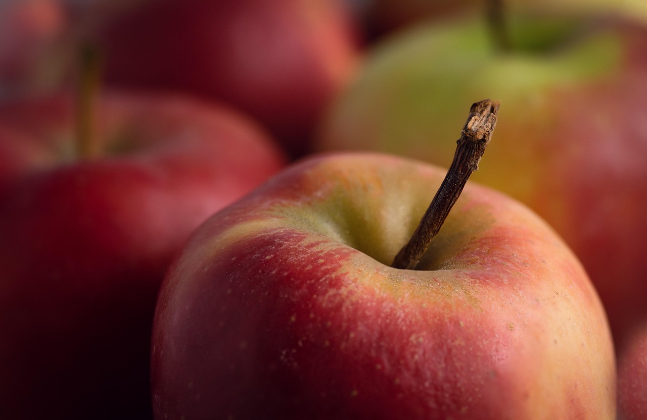 Apple, healthy, red — Sports Physiotherapy for Common Swimming Injuries