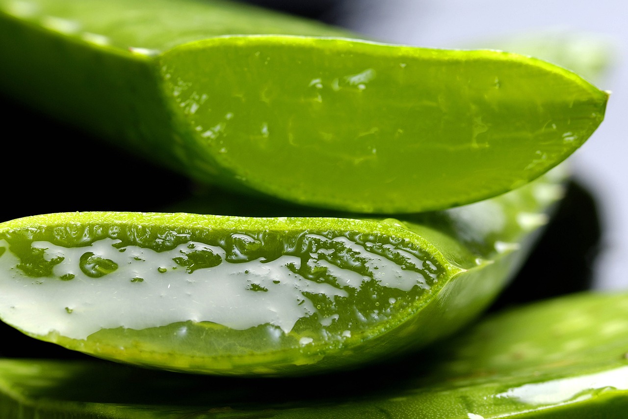 Aloe, aloe vera, nature — Prostavive Reviews: Real Stories of Improved Prostate Health