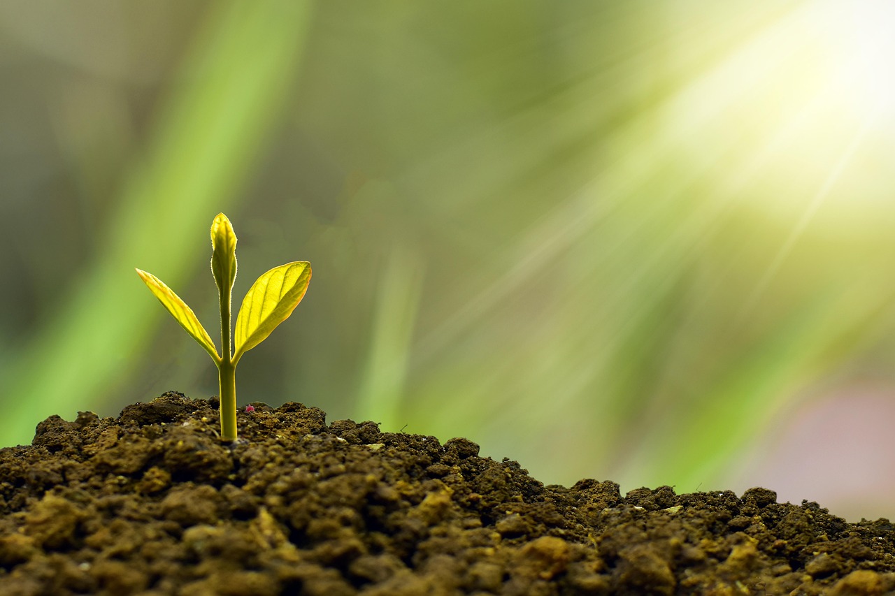 Investment, concept, business — Scaling New Heights: UK Pharma's Commitment to Cutting-Edge Medicine