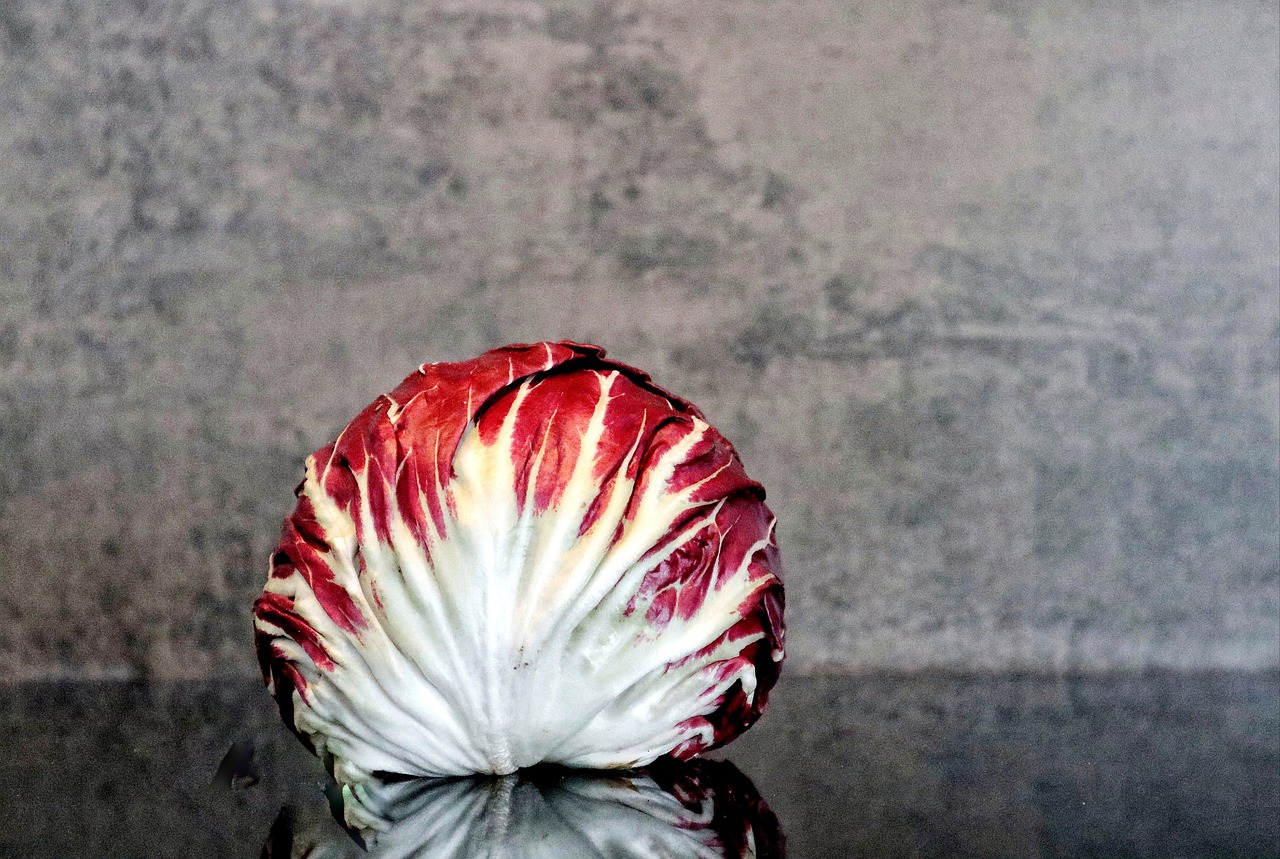 Salad, radicchio, food — The Must-Have Smoking Accessories