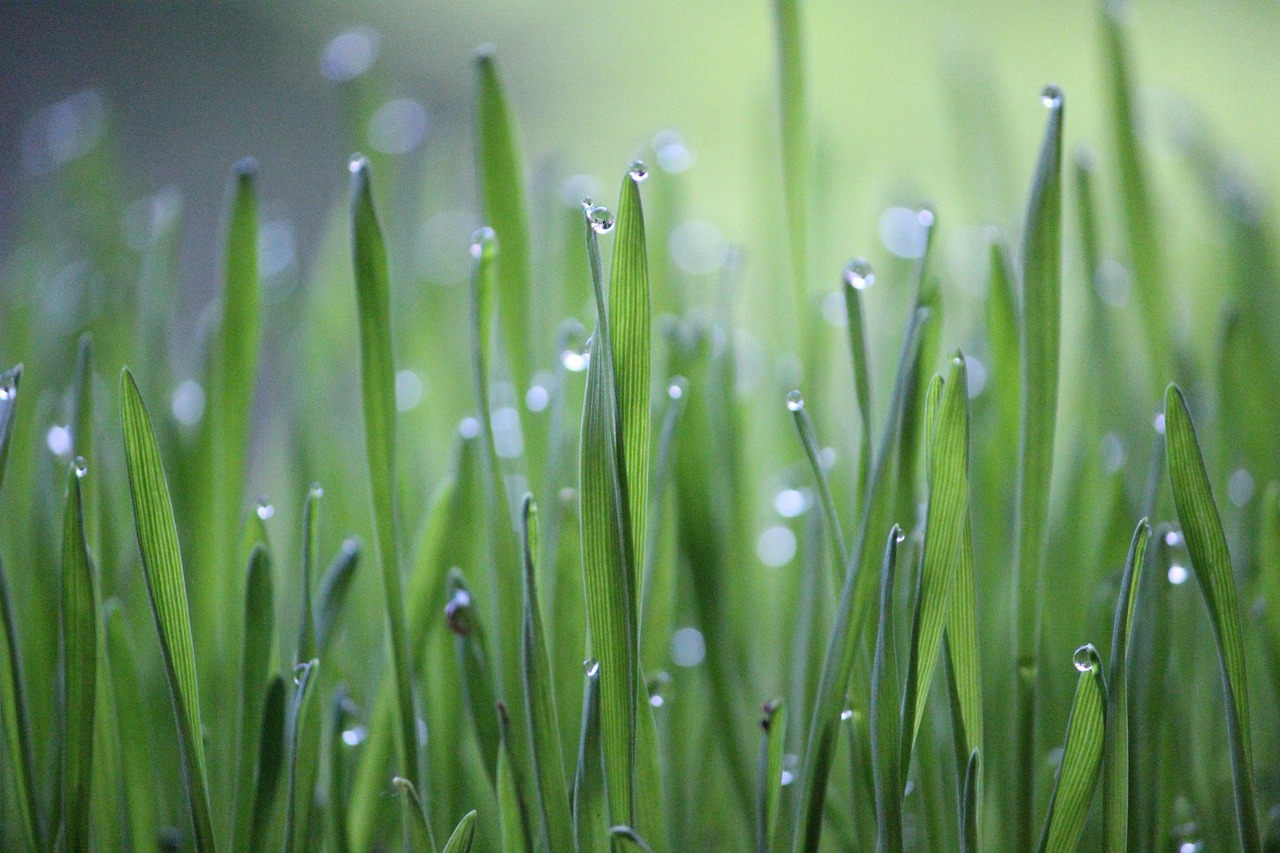 What is Regenerative Medicine and What are the Benefits?