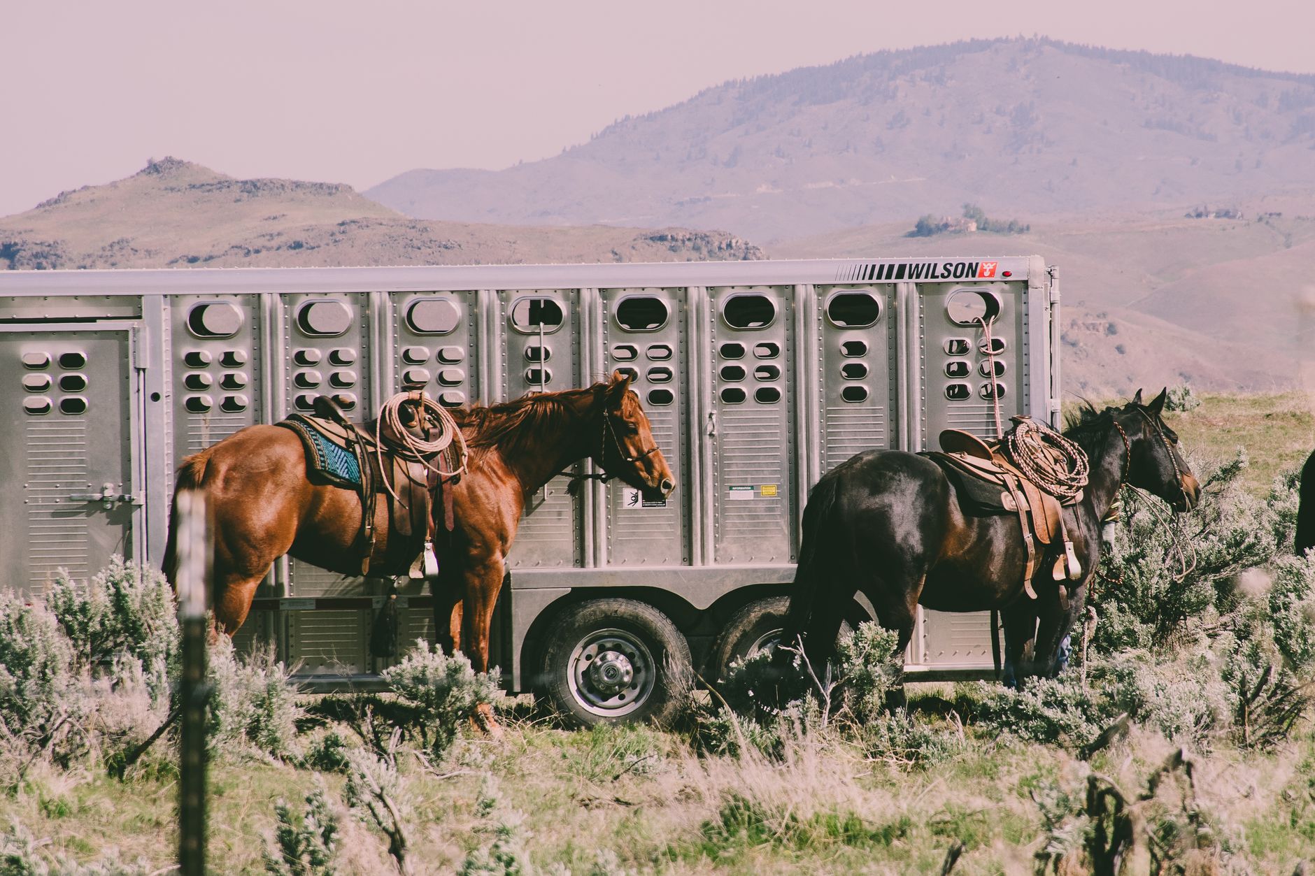 Wild Horse Nine trailer: The Best Official Reveal Yet!