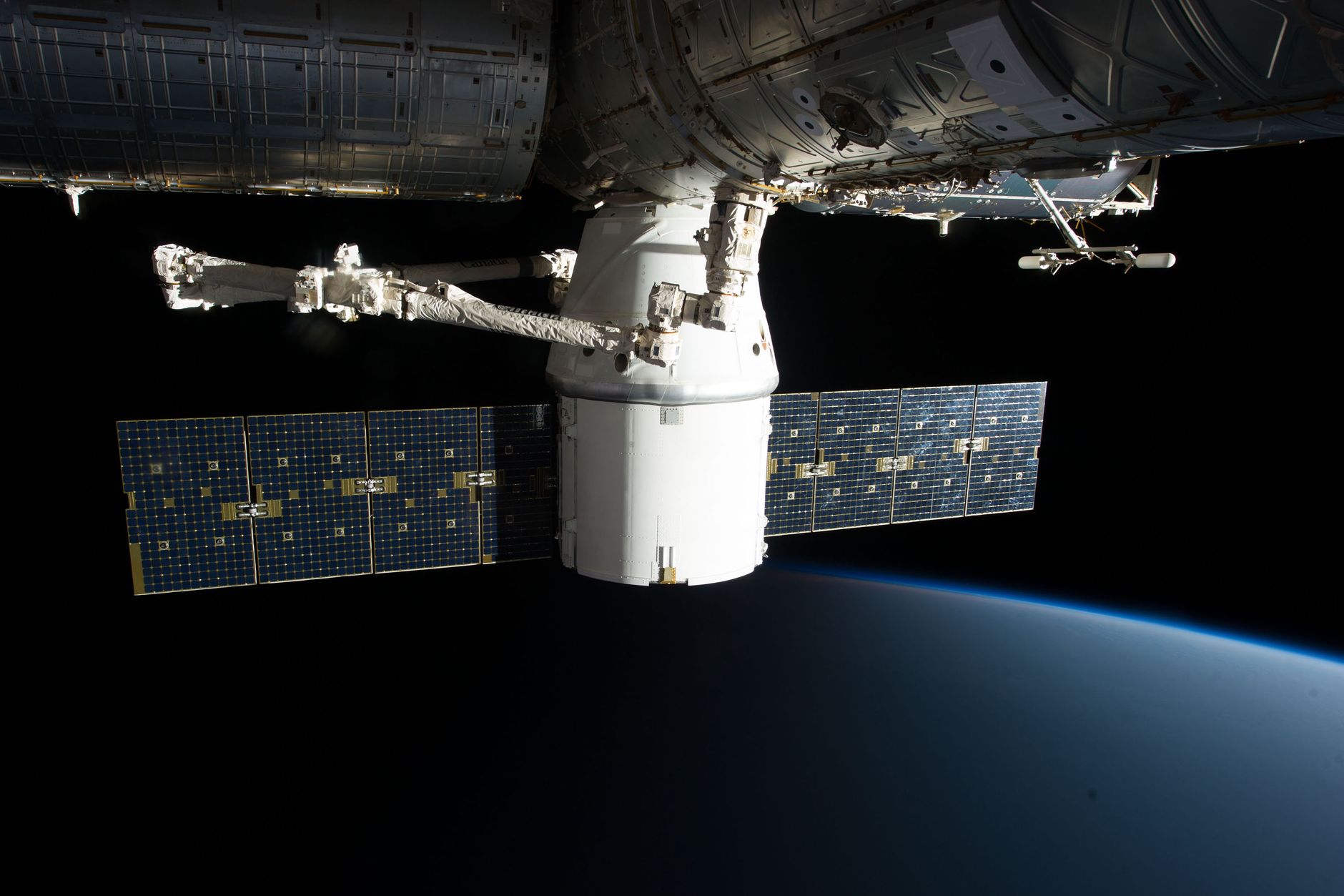 ISS Mission: The Best Proven Way to Study Tiny Brains